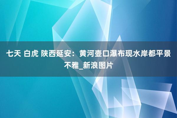 七天 白虎 陕西延安：黄河壶口瀑布现水岸都平景不雅_新浪图片