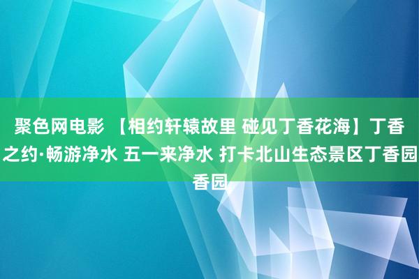 聚色网电影 【相约轩辕故里 碰见丁香花海】丁香之约·畅游净水 五一来净水 打卡北山生态景区丁香园